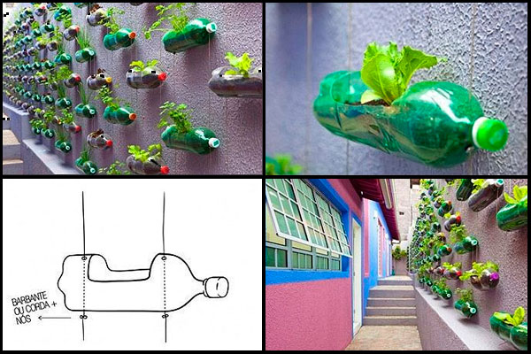 hortas-com-garrafa-pet-1