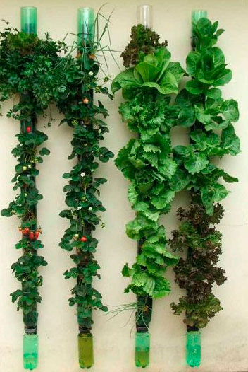 hortas-com-garrafa-pet-3