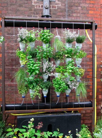 hortas-com-garrafa-pet-6