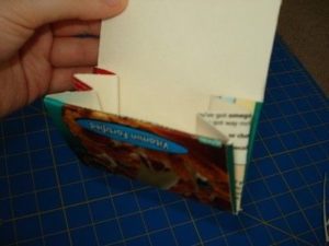 porta moedas caixa de leite