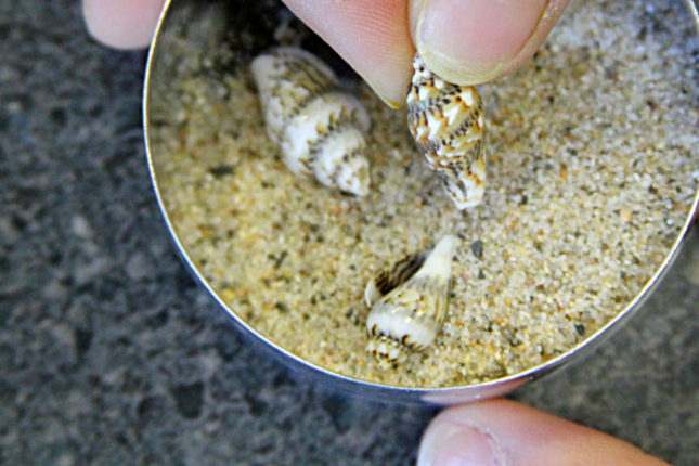 faça-você-mesmo-011