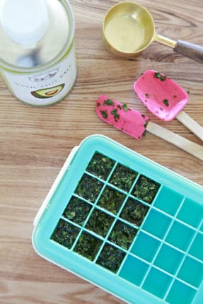 como congelar temperos