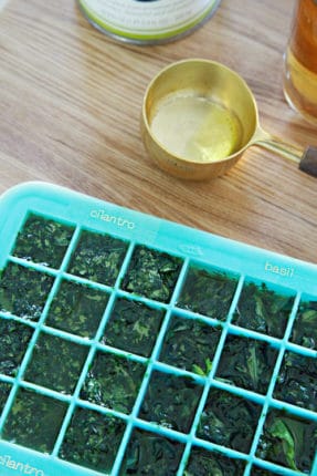 como congelar temperos