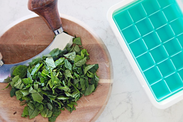 como congelar temperos