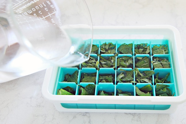 como congelar temperos