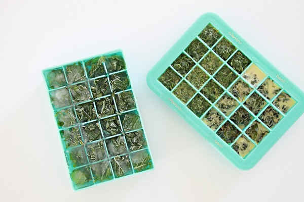 como congelar temperos