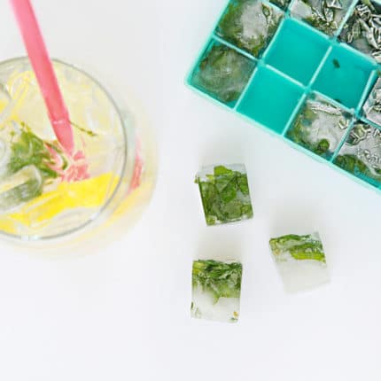 como congelar temperos